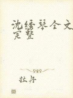 沈绣琴全文阅读完整