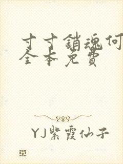 寸寸销魂何生祥全本免费