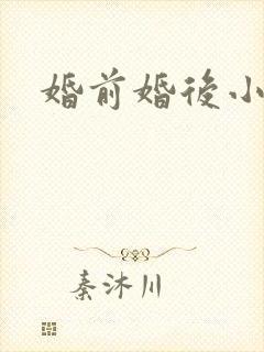 婚前婚后小说