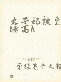 太子妃被皇上强睡高h