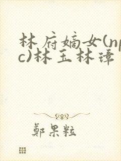 林府嫡女(npc)林玉林璋