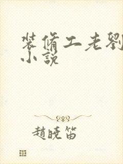 装修工老刘林雪小说