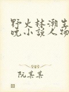 野火林潮生林晚晚小说人物野火