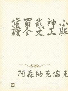 修罗武神小说阅读全文正版