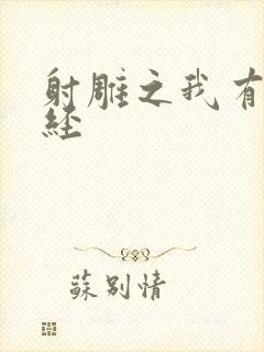 射雕之我有太玄经