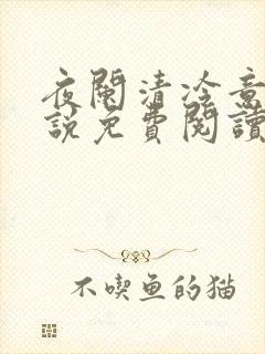 夜阑清冷意欢小说免费阅读