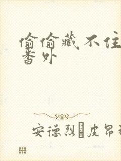 偷偷藏不住新婚番外