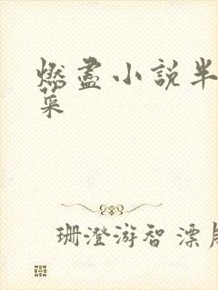 燃尽小说半截白菜