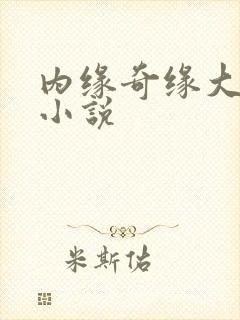 内缘奇缘大团圆小说