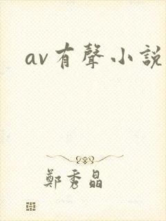 av有声小说