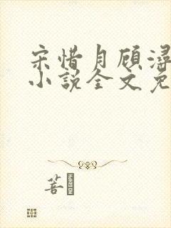 宋惜月顾浔渊的小说全文免费阅读