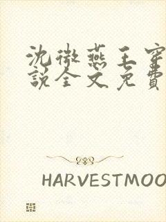 沈微燕王穿越小说全文免费阅读