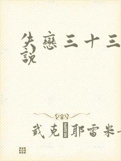 失恋三十三天小说
