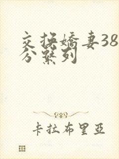 交换娇妻38部分系列