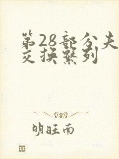 第28部分夫妇交换系列