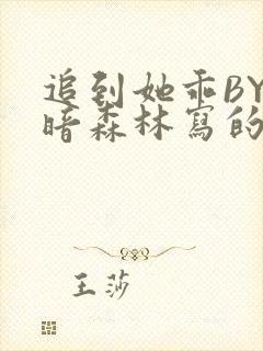 追到她乖BY黑暗森林写的小说