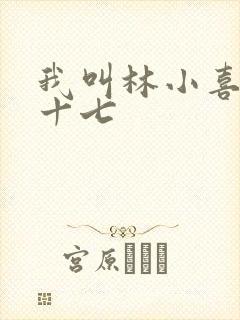 我叫林小喜今年十七