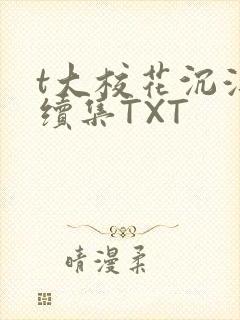 t大校花沉浮录续集TXT