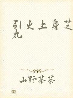 引火上身芝麻糖丸