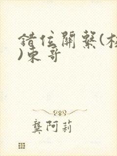 错位关系(校园)东哥