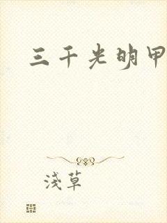 三千光明甲
