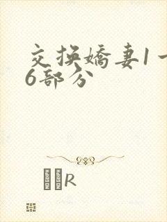 交换娇妻1一36部分