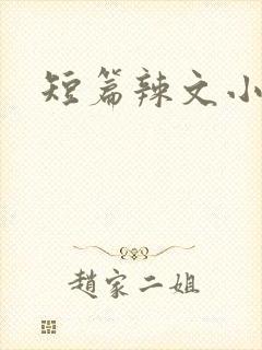 短篇辣文小说
