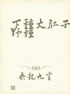 下种大肚子怀孕野种