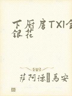 下厨房TXl金银花