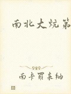 南北大炕第一部