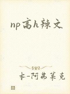 np高h辣文