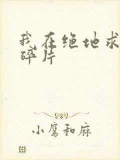 我在绝地求生捡碎片