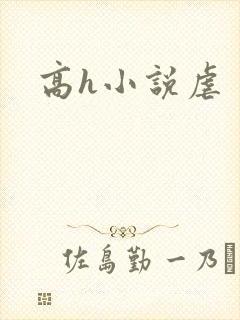 高h小说虐