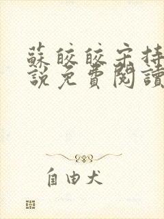 苏皎皎宋持的小说免费阅读