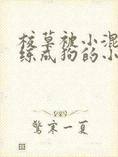 校草被小混混训练成狗的小说