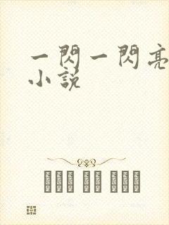 一闪一闪亮星星小说