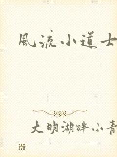风流小道士