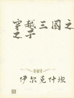 穿越三国之袁绍之子