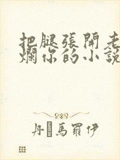 把腿张开老子臊烂你的小说