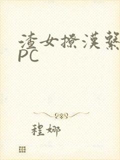 渣女撩汉系统NPC