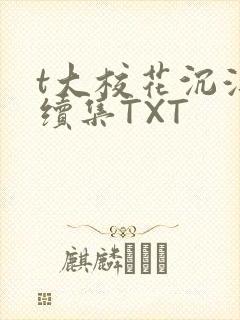 t大校花沉浮录续集TXT