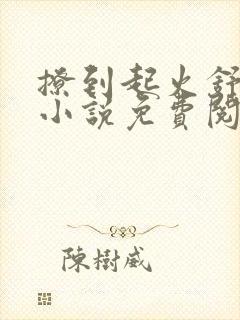 撩到起火舒漾的小说免费阅读全文