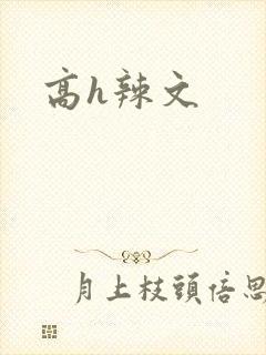 高h辣文