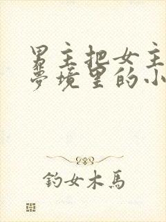 男主把女主拖进梦境里的小说