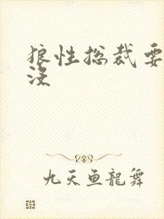 狼性总裁要够了没