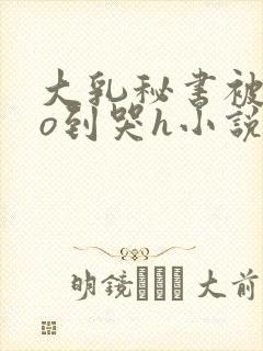 大乳秘书被cao到哭h小说