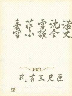 秦菲雪沈浩秦菲雪小说全文免费阅读求书