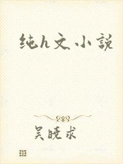 纯h文小说