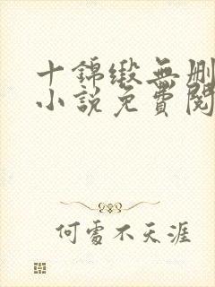 十锦缎无删原著小说免费阅读