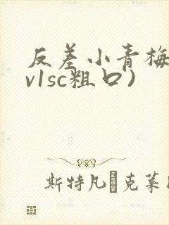 反差小青梅(1v1sc粗口)